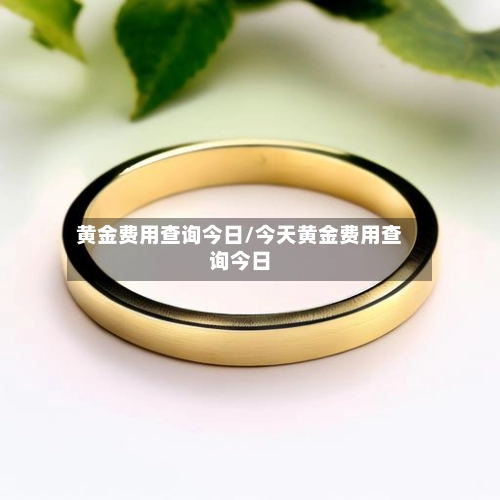 黄金费用查询今日/今天黄金费用查询今日-第3张图片