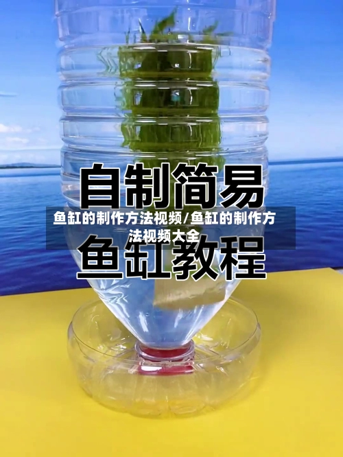 鱼缸的制作方法视频/鱼缸的制作方法视频大全