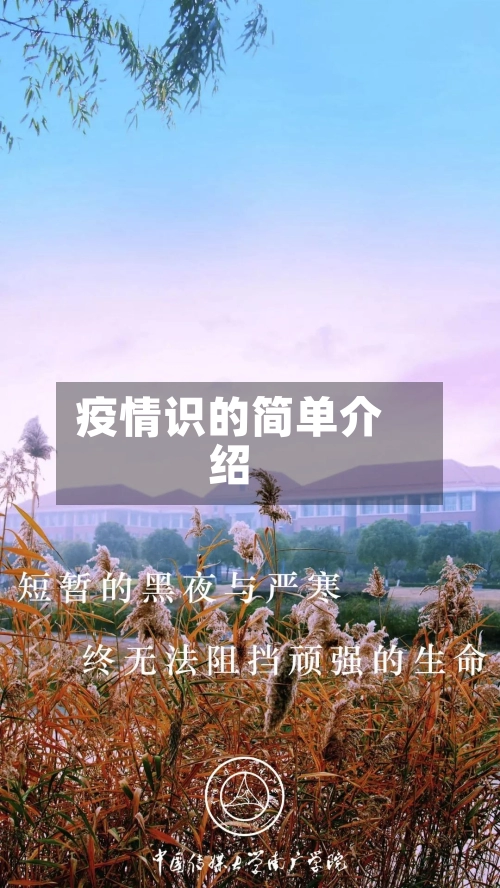 疫情识的简单介绍-第3张图片