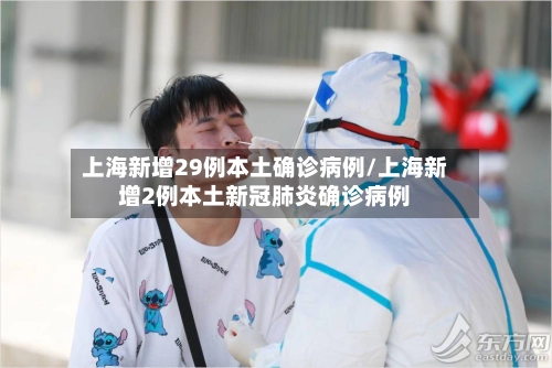 上海新增29例本土确诊病例/上海新增2例本土新冠肺炎确诊病例