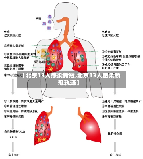 【北京13人感染新冠,北京13人感染新冠轨迹】-第2张图片