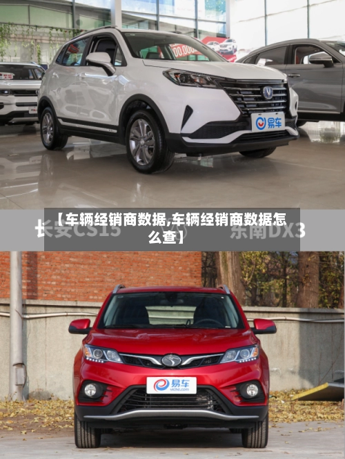 【车辆经销商数据,车辆经销商数据怎么查】-第2张图片