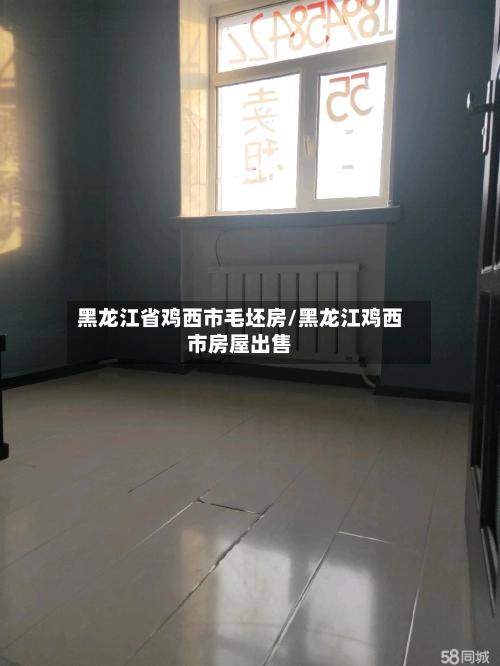 黑龙江省鸡西市毛坯房/黑龙江鸡西市房屋出售