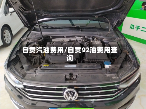 自贡汽油费用/自贡92油费用查询