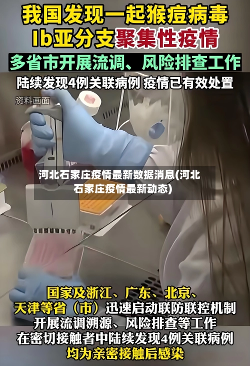 河北石家庄疫情最新数据消息(河北石家庄疫情最新动态)-第2张图片