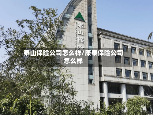 泰山保险公司怎么样/康泰保险公司怎么样-第3张图片