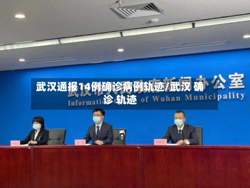 武汉通报14例确诊病例轨迹/武汉 确诊 轨迹-第2张图片
