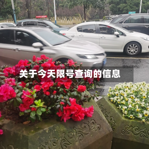 关于今天限号查询的信息-第2张图片