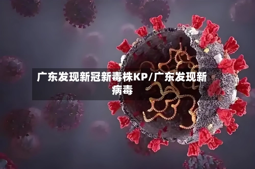 广东发现新冠新毒株KP/广东发现新病毒-第3张图片