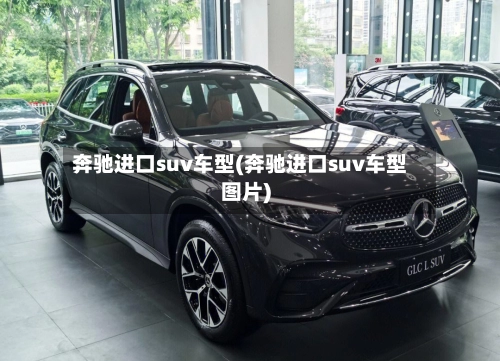 奔驰进口suv车型(奔驰进口suv车型图片)