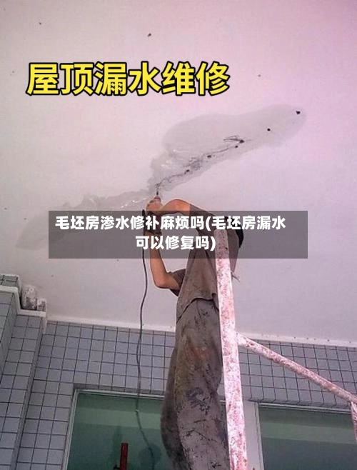 毛坯房渗水修补麻烦吗(毛坯房漏水可以修复吗)-第3张图片