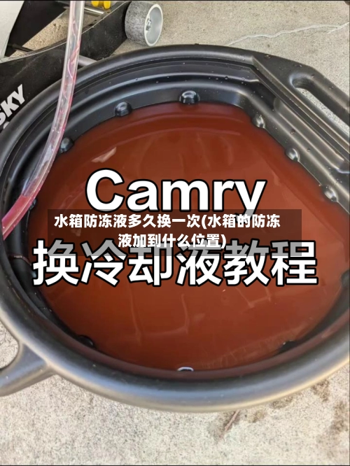 水箱防冻液多久换一次(水箱的防冻液加到什么位置)-第2张图片