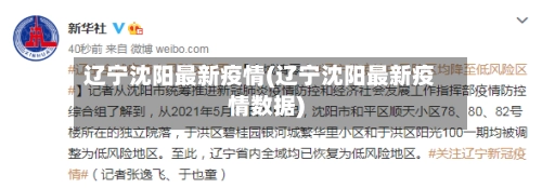辽宁沈阳最新疫情(辽宁沈阳最新疫情数据)-第1张图片