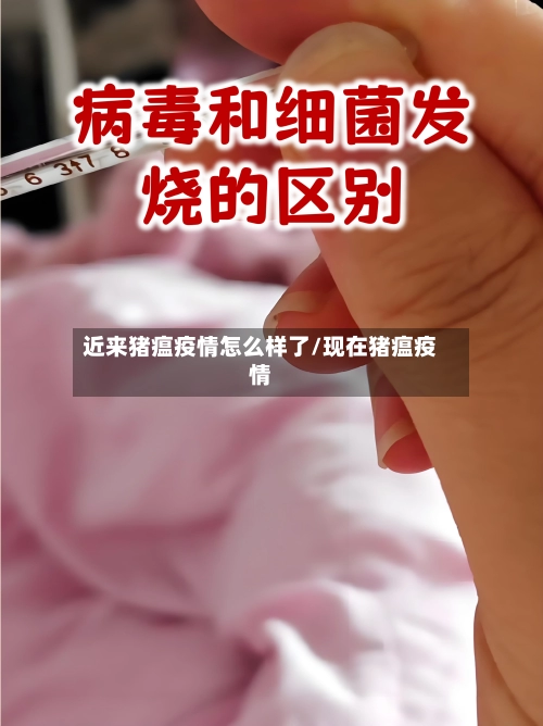 近来猪瘟疫情怎么样了/现在猪瘟疫情