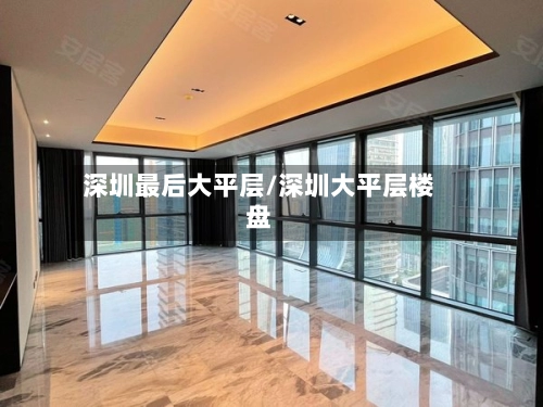 深圳最后大平层/深圳大平层楼盘-第2张图片