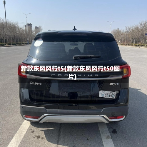 新款东风风行t5(新款东风风行t50图片)-第2张图片