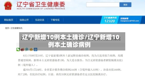 辽宁新增10例本土确诊/辽宁新增10例本土确诊病例