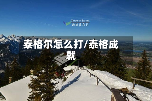 泰格尔怎么打/泰格成就-第2张图片