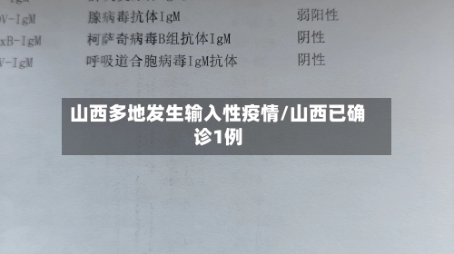 山西多地发生输入性疫情/山西已确诊1例