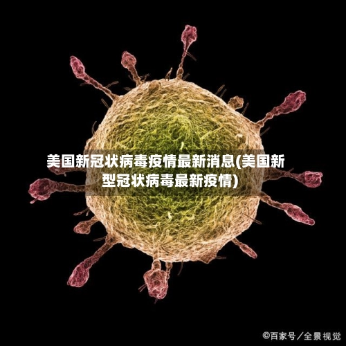 美国新冠状病毒疫情最新消息(美国新型冠状病毒最新疫情)