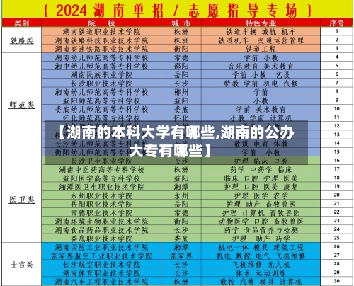 【湖南的本科大学有哪些,湖南的公办大专有哪些】-第2张图片