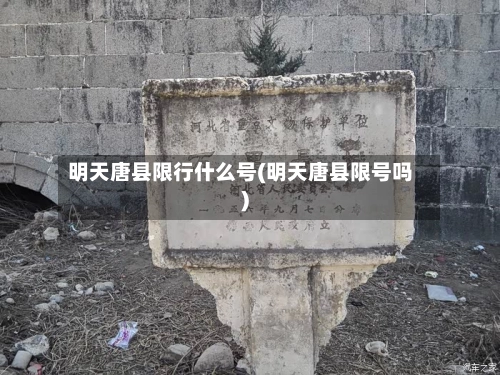 明天唐县限行什么号(明天唐县限号吗)