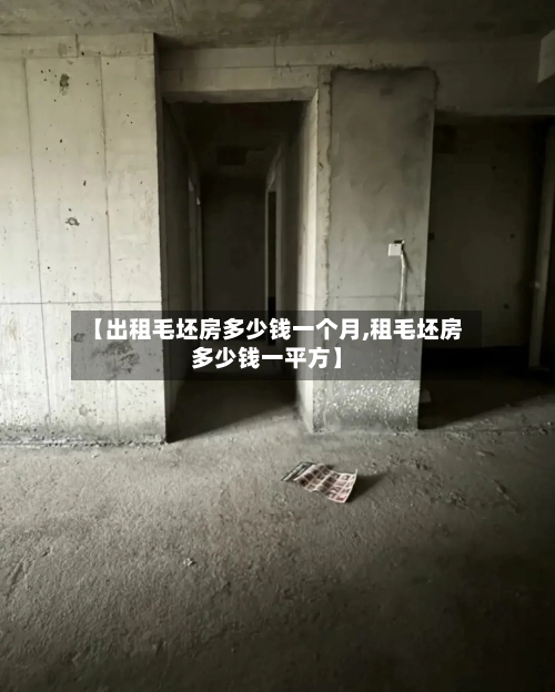 【出租毛坯房多少钱一个月,租毛坯房多少钱一平方】