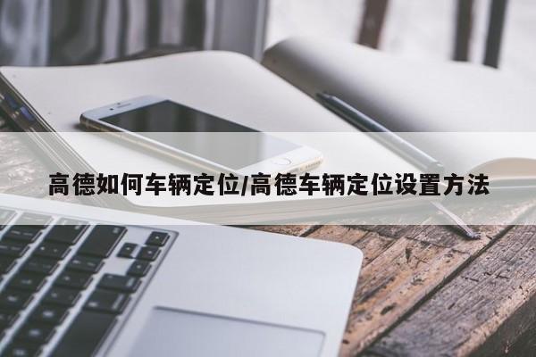 高德如何车辆定位/高德车辆定位设置方法