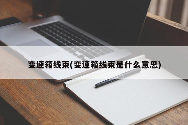 变速箱线束(变速箱线束是什么意思)