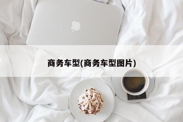 商务车型(商务车型图片)