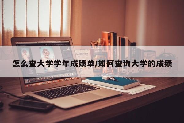 怎么查大学学年成绩单/如何查询大学的成绩