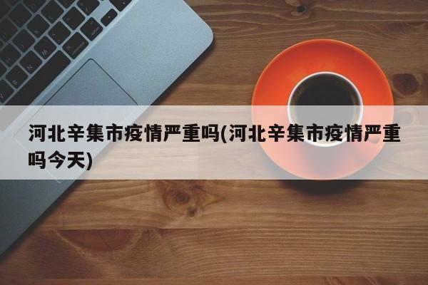 河北辛集市疫情严重吗(河北辛集市疫情严重吗今天)
