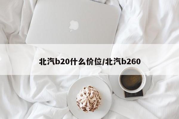 北汽b20什么价位/北汽b260