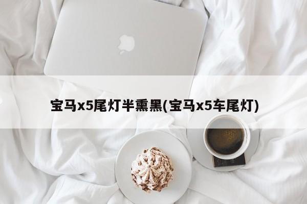 宝马x5尾灯半熏黑(宝马x5车尾灯)