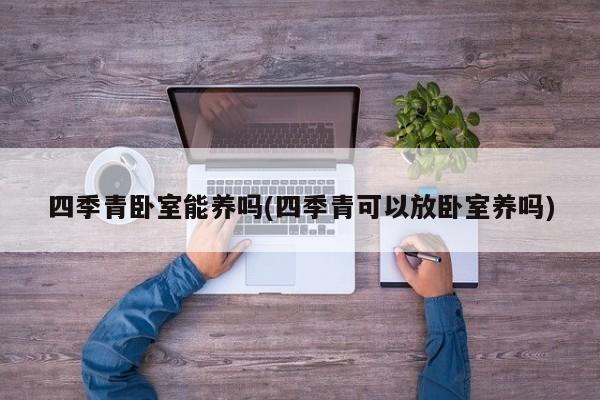 四季青卧室能养吗(四季青可以放卧室养吗)