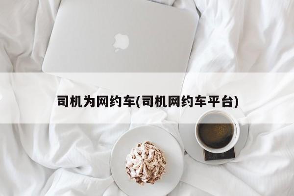 司机为网约车(司机网约车平台)