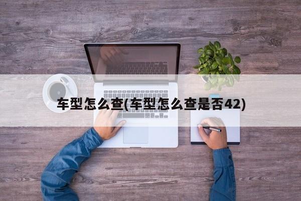 车型怎么查(车型怎么查是否42)
