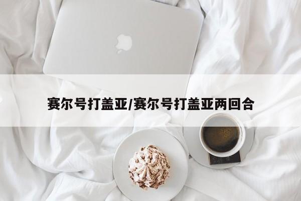 赛尔号打盖亚/赛尔号打盖亚两回合