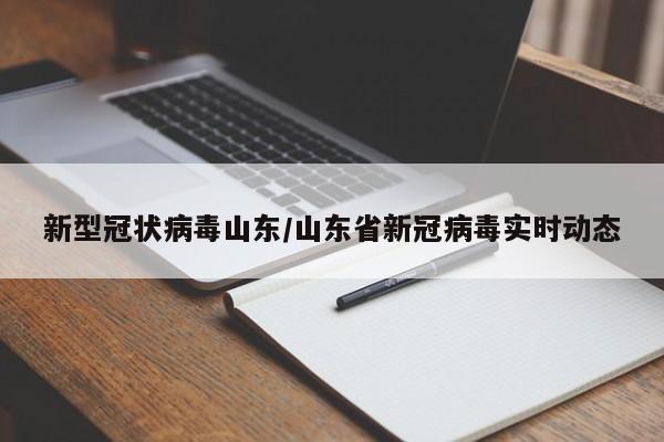 新型冠状病毒山东/山东省新冠病毒实时动态